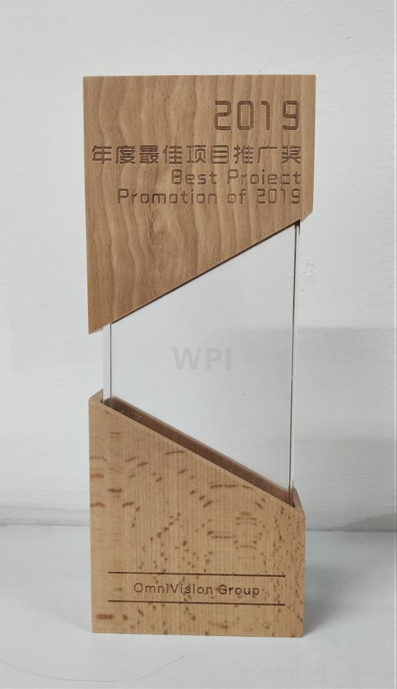 2020 OmniVision Excellent Sales performance Award