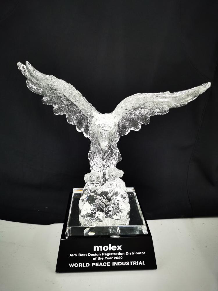 APS Best Design Registration Distributor of the year 2020