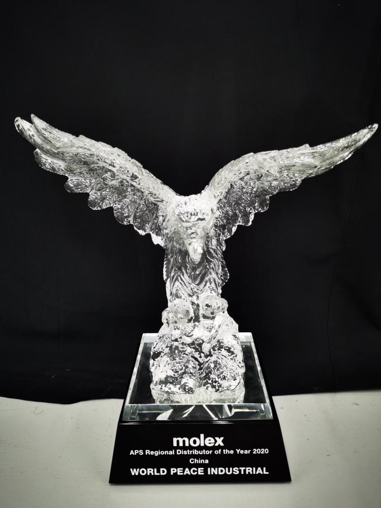 APS Regional Distributor of the year 2020 China