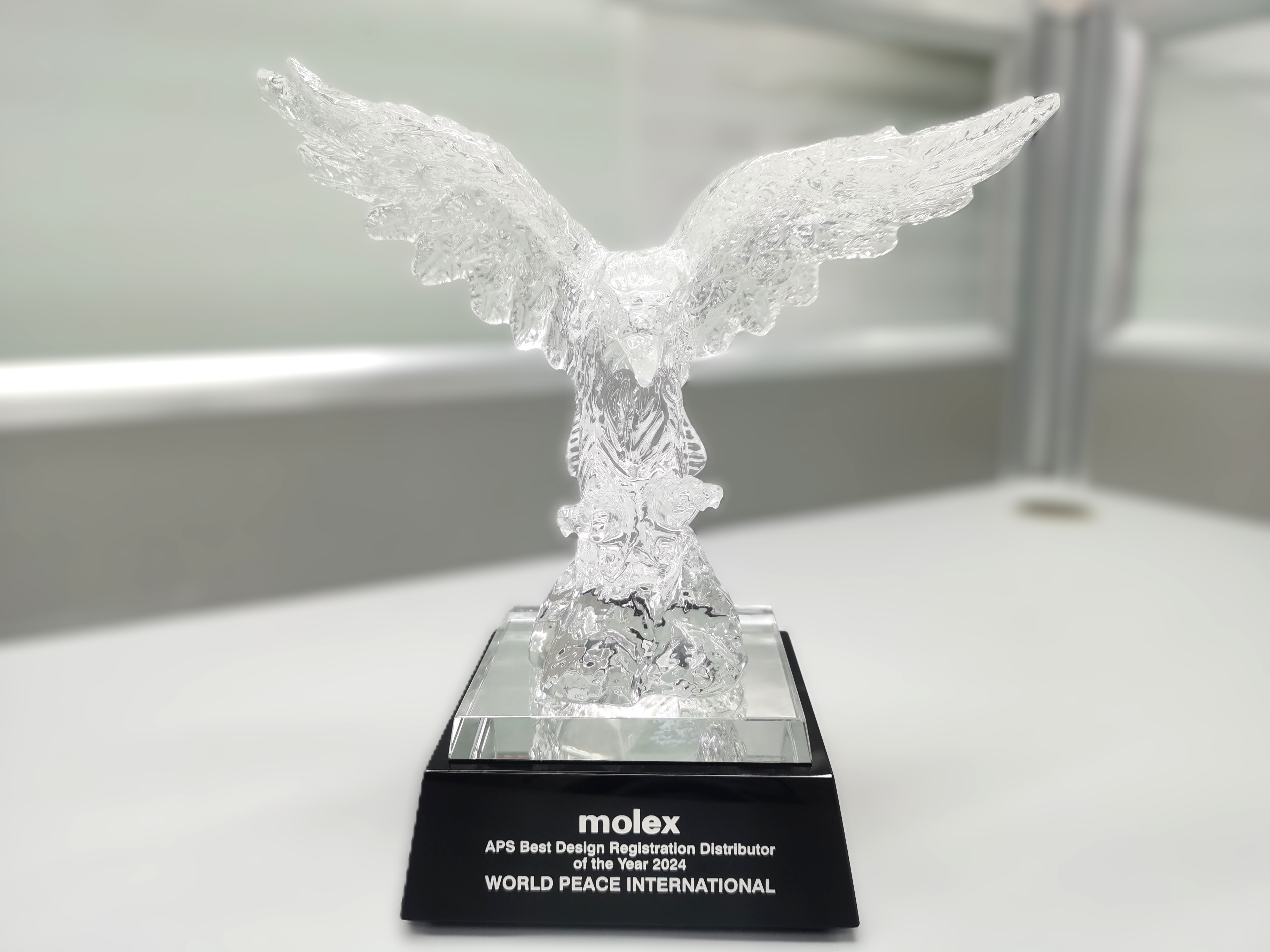 APS Best Design Registration Distributor of the Year 2024